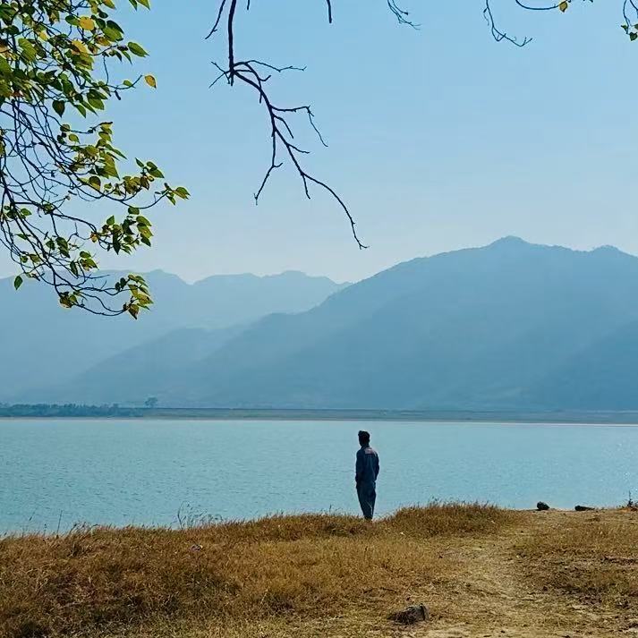 Dengqiang Jia bio photo